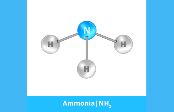 Define What Is Ammonia_